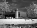 barn.jpg