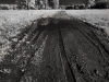 mud1_sepia.jpg