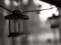 DSCF8300001907