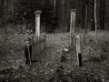 DSCF8305001909