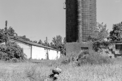 Kowa6