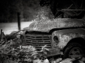 DSCF02341620
