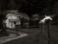 DSCF02831619
