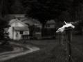 DSCF02831622