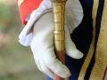 DSCF6848116
