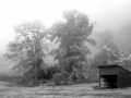 DSCF7670001198