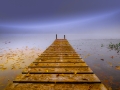 DSCF8903001197