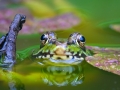 DSCF2713_1