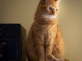 DSCF7278