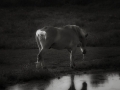 dscf8670