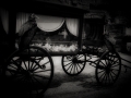 vultures1_sepia