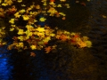 dscf0868348