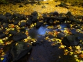 dscf0874349
