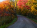 dscf0935338