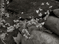 dscf503512