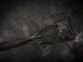 dsc07860_bw