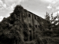 dsc04703_bw