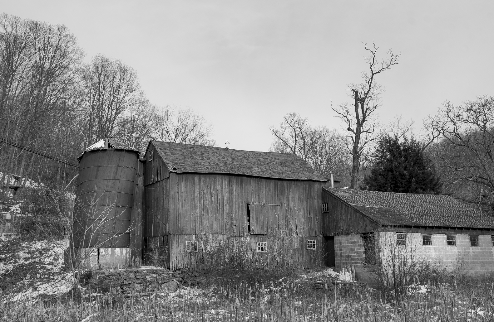 DSCF0455