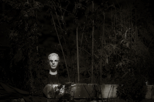 headofthegarden_dsc_4476_1