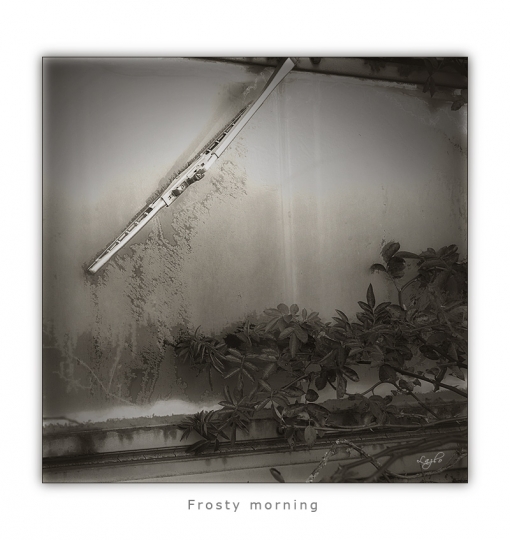 frost1