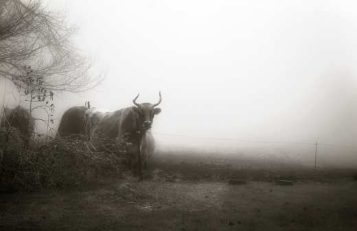 untitled-2
