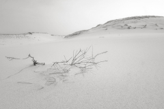 cape-cod-2015