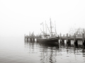 DSCF6462000533