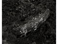 dscf2953bwfr