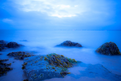cape-cod-june-2012