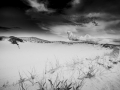 DSC_0525-copy