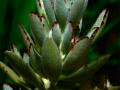 image12