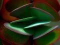 image9