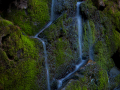 DeansRavine_DSC_3759