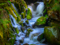 MillBrook_DSCF9883_1