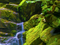 Untitled-3