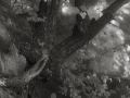 dscf0159
