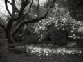 sdim2053_bw1