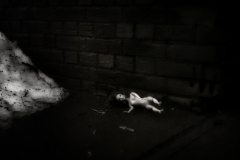 hudson-new-york-december-22-2013