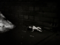 dscf7738