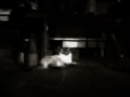 dscf7754