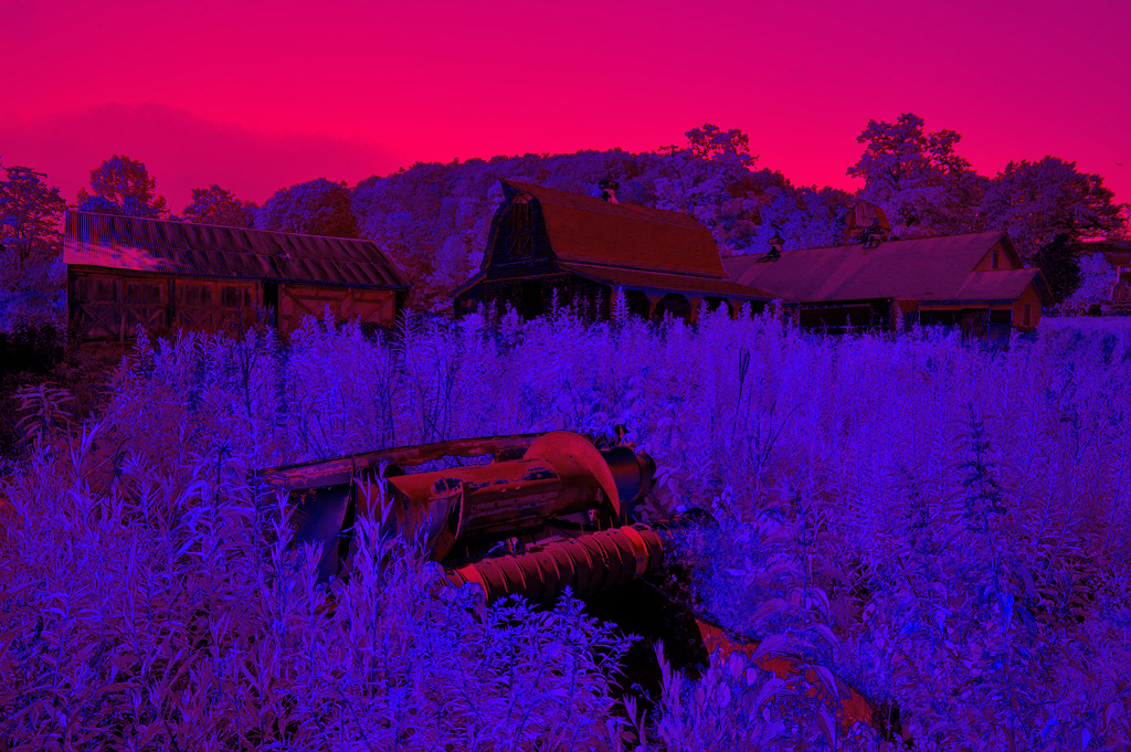 dsc_2265_colored