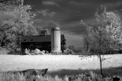infrared