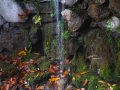 dscf4085