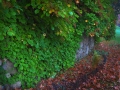 dscf4092