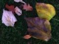 dscf4114