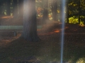 dscf4194