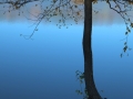 dscf4235