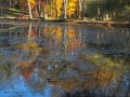 dscf4252