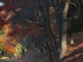 dscf4275