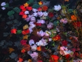 dscf4280
